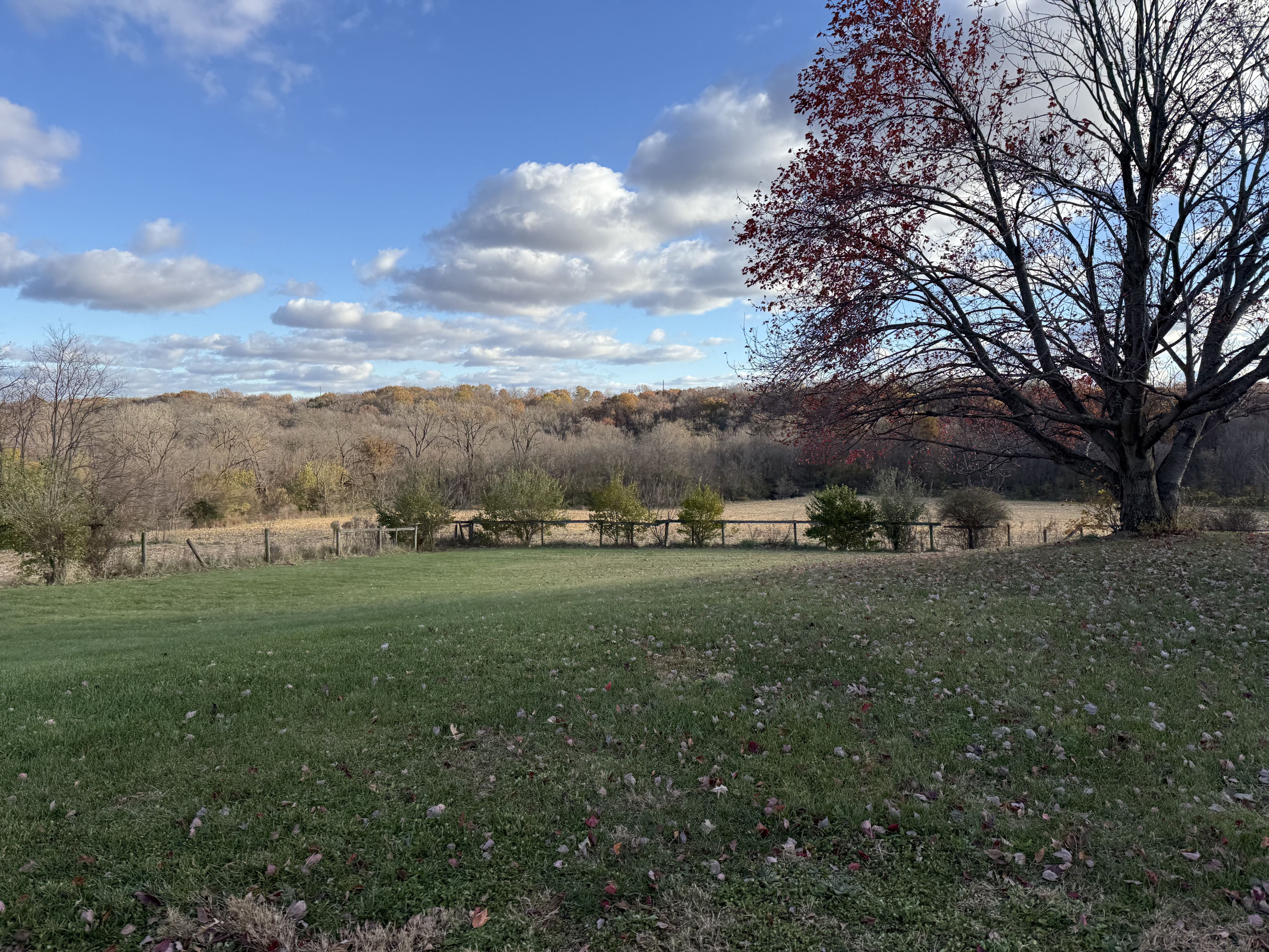 Listing Photo: Photo Nov 09 2025, 3 20 16 PM